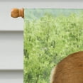 thumbnail image 3 of Carolines Treasures ASA2151CHF Deer & Fawn Flag Canvas House Size, 3 of 4