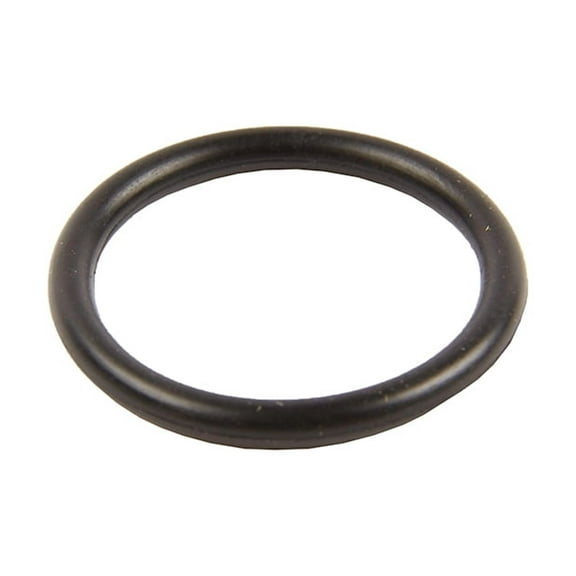 GM Genuine Parts 19132944 Transfer Case Intermediate Drive Shaft Seal (O-Ring)