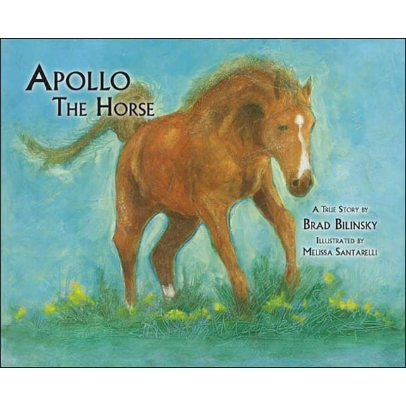 Apollo the Horse, (Paperback)
