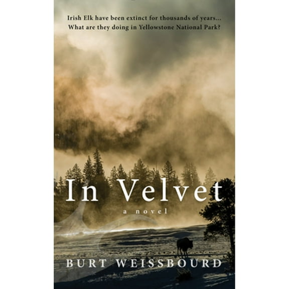 In Velvet (Hardcover)