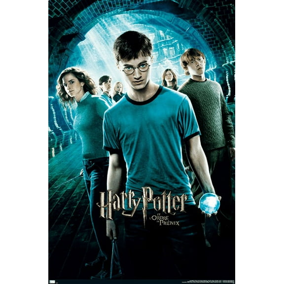 Harry Potter and the Order of the Phoenix - One Sheet (French Version) Wall Poster, 22.375" x 34"