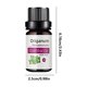 thumbnail image 3 of XWSHYW Aceite Esencial Aceite Corporal 10Ml Hidratante Cuidado de La Piel Aceite de Masaje Fragancias Calmante Cuidado de La Piel Masaje Nutritivo Completo, 3 of 6