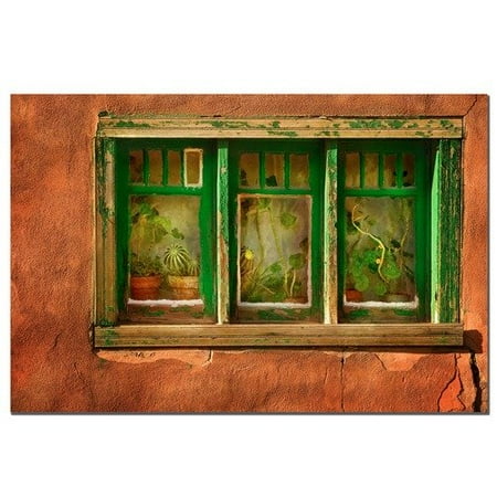 Trademark Global Cactus Window by Aiana, Canvas Art - 16'' x 24''