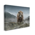 thumbnail image 3 of Stupell Industries Roaring Brown Grizzly Bear Rocky Mountain Top View Graphic Art Gallery Wrapped Canvas Print Wall Art, Design by Kelley Parker, 3 of 7