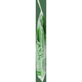 thumbnail image 5 of Plackers Dental Flossers Micro Mint - 90 Count, 5 of 5