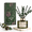 Balsam Fir-6.76 Ounce/1 pack, variant on Cashmere Vanilla 6.76 Ounce/1 Pack Reed Diffuser Set Air Freshener