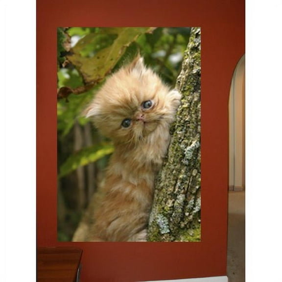 Wallhogs Cat I Wall Decal