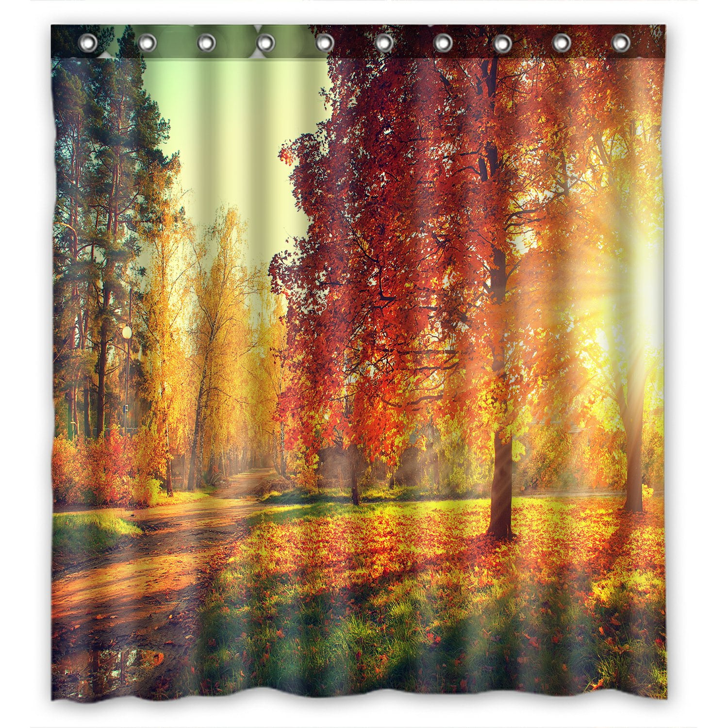 PHFZK Autumn Scene Shower Curtain, Autumn Trees and Leaves in Sun Light