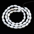 thumbnail image 2 of 10strands Natural Freshwater Shell Beads Strands Rice Seashell color 7x4x4mm Hole: 1mm about 51pcs/strand 14.02~14.29 inch(35.6~36.3cm), 2 of 3