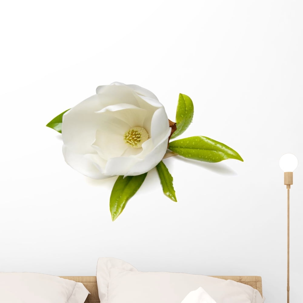 Magnolia Flower Wall Decal by Wallmonkeys Peel and Stick Graphic (24 in
