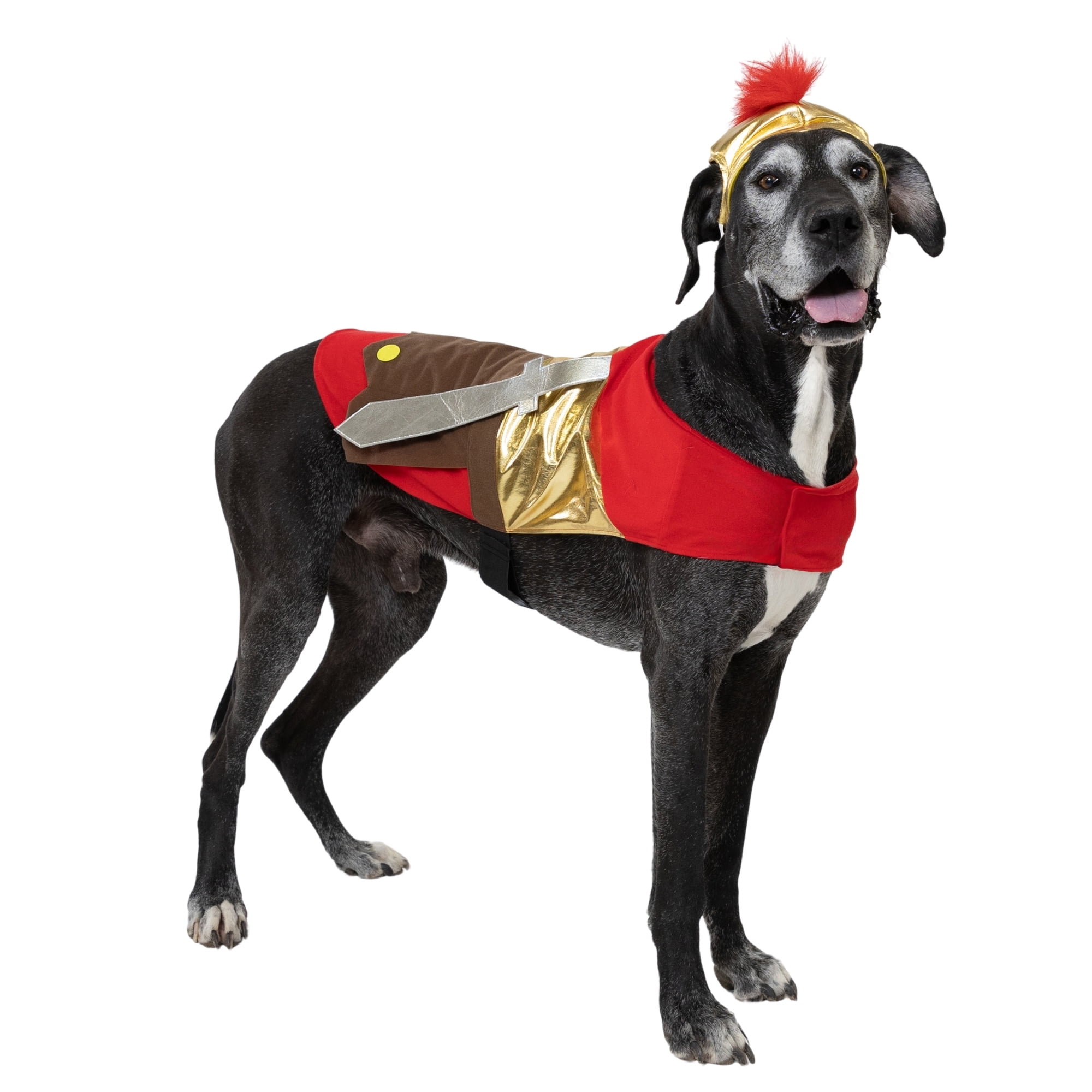 Vibrant Life Halloween Gladiator Costume for Dogs, Multicolor, Extra Large