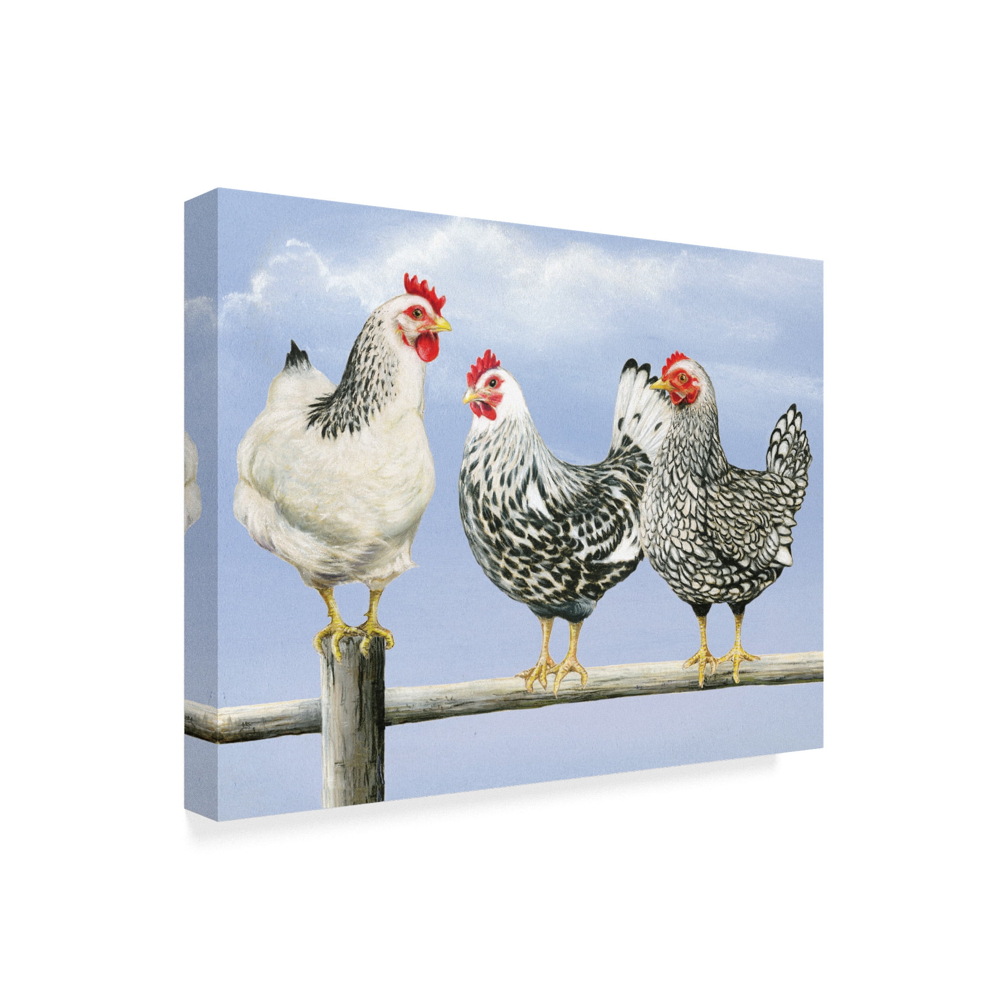 Trademark Fine Art 'Three Black & White Hens' Canvas Art by Janet Pidoux