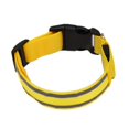 thumbnail image 1 of Collar de perro luminoso ZHAOCHENG LED recargable USB impermeable 7 colores ajustable, 1 of 5