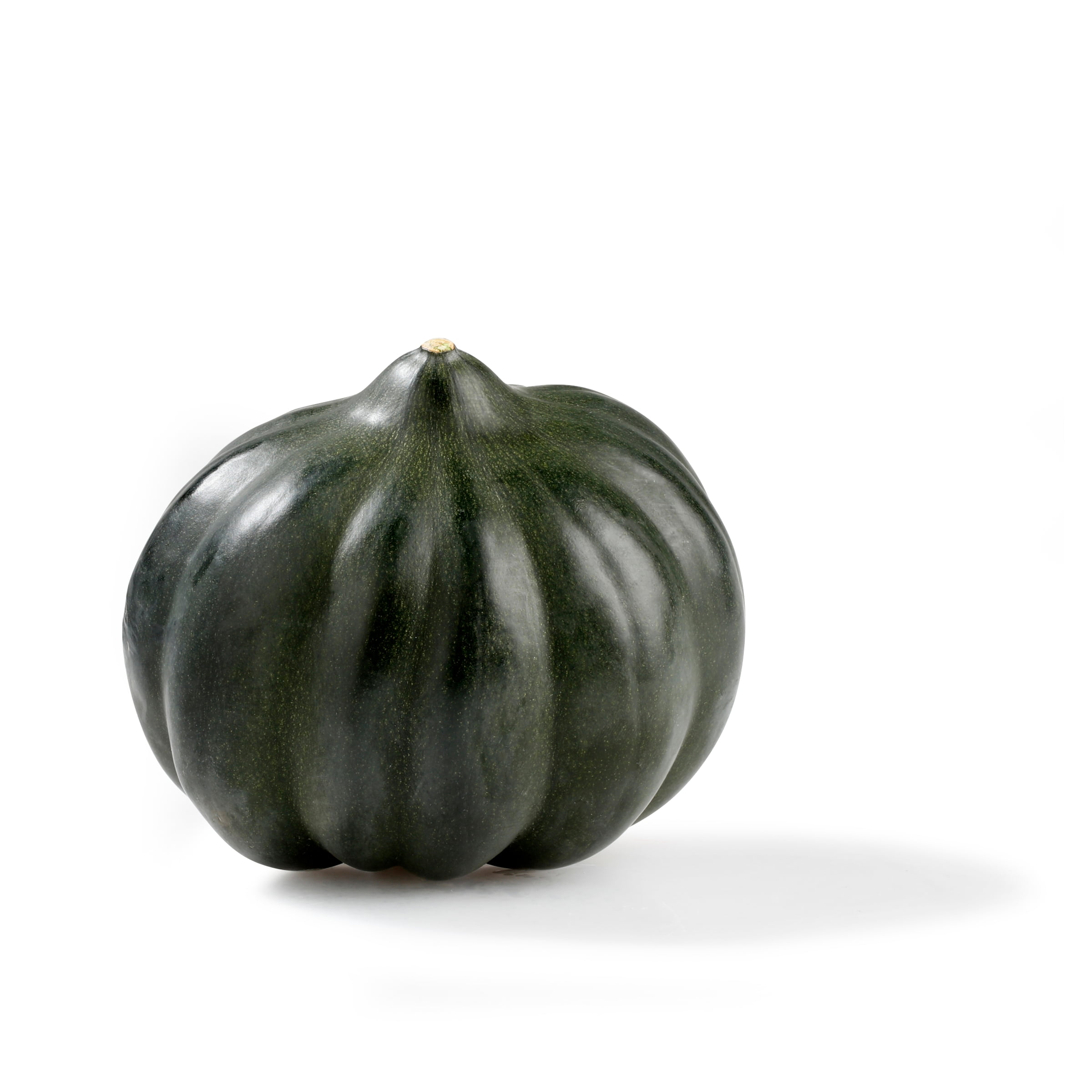Fresh Acorn Squash, Each
