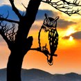 thumbnail image 4 of 3Pcs Animals Bird Silhouette On Branch Artwork Garden Decoration Sunnimix Silueta de animales, 4 of 8