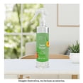 thumbnail image 4 of Home Spray Alta Mainstays Twist Frutal 250 Ml, 4 of 4