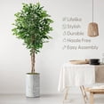 thumbnail image 3 of Artificial Tree in Geometric Pattern Planter, Fake Ficus Silk Tree for Indoor and Outdoor Home Decoration - 66" Overall Tall (Plant Pot Plus Tree), 3 of 5