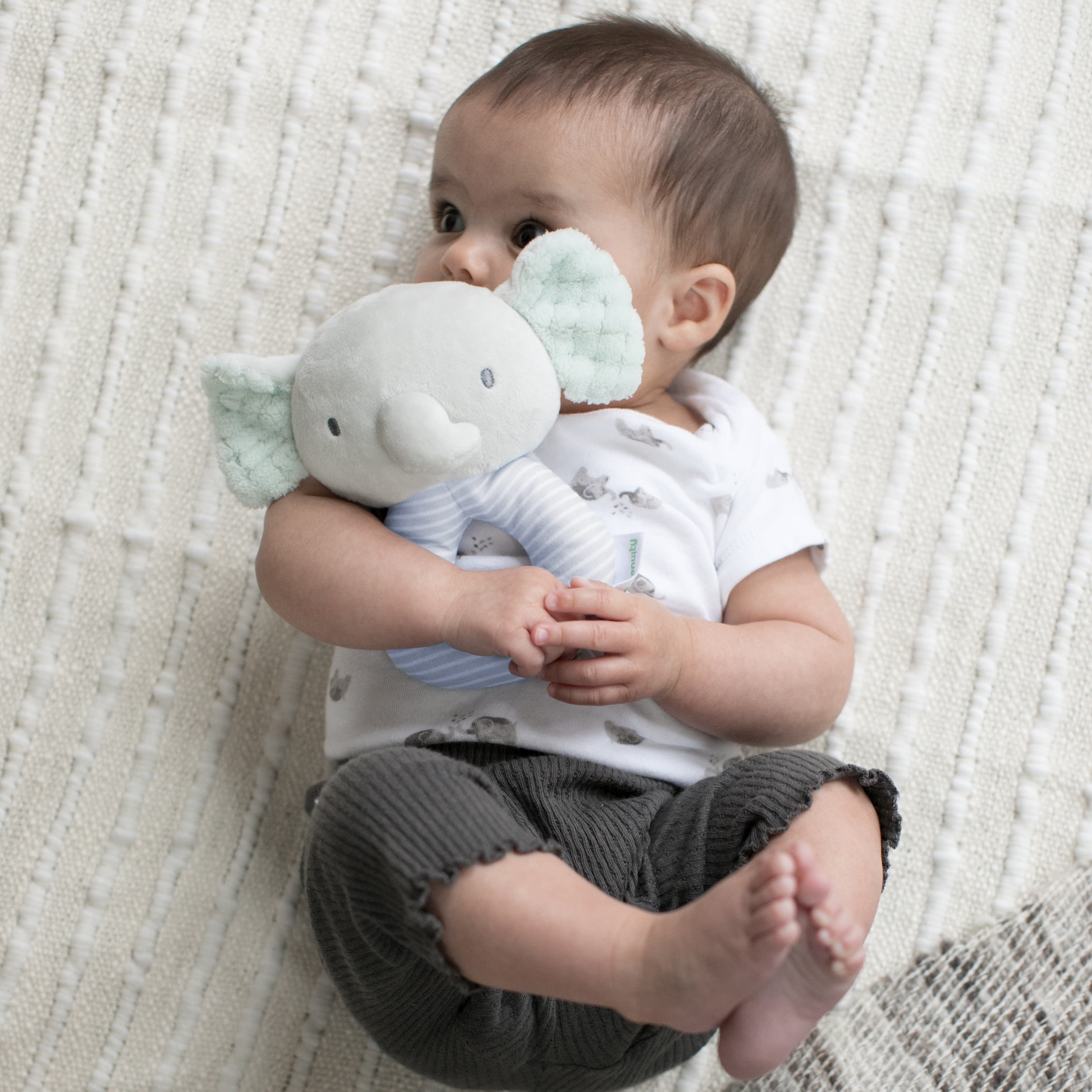 Ingenuity Premium Soft Plush Ring Rattle - Van the Elephant, Ages Newborn +