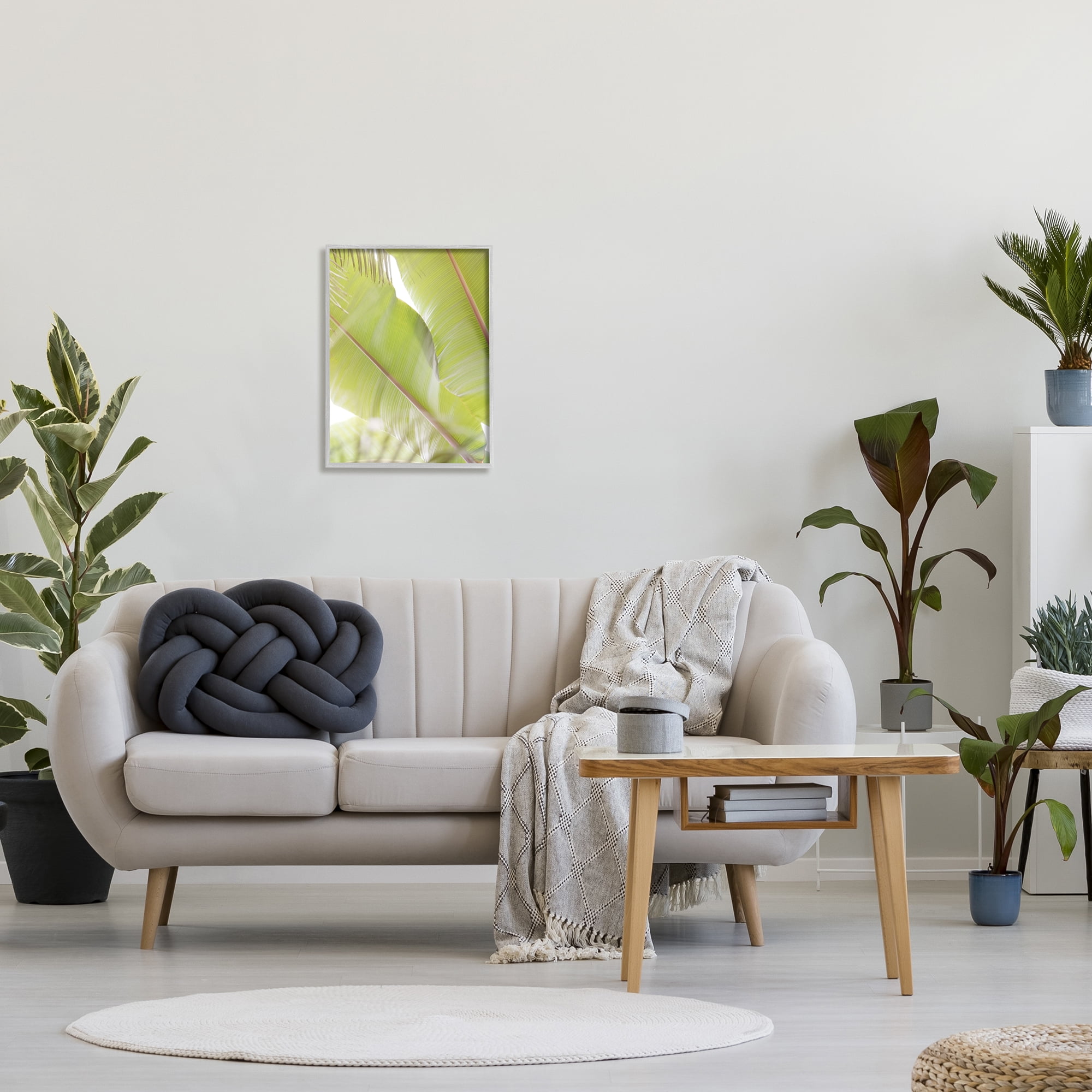 Stupell Tropical Palm Modern View Botanical & Floral Photography Gray Framed Art Print Wall Art