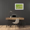 thumbnail image 3 of Molinari, Michele 24x17 White Modern Wood Framed Museum Art Print Titled - Italy-Valpolicella vineyards, 3 of 4