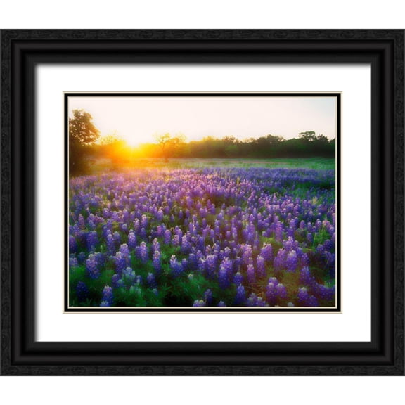 Jaynes Gallery 32x26 Black Ornate Wood Framed with Double Matting Museum Art Print Titled - Texas-Llano County Sunrise abstract of field of bluebonnets