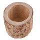 thumbnail image 4 of Maceta de madera suculenta, Maceta de bonsái, Macetero de madera, Candelabro de tocón de árbol, Candelabro de té ligero de madera, Maceta de plantas suculentas, Florero de madera, 4 of 9