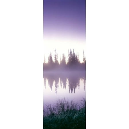 Reflection of trees in a lake Mt Rainier Mt Rainier National Park Pierce County Washington State USA Poster