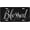 Blue, variant on Vanity Plate Cover with Chicago Skyline Fade-resistant Design, Aluminum Novelty Car Tag, 12 x 6 Inch, Universal Fit, Waterproof