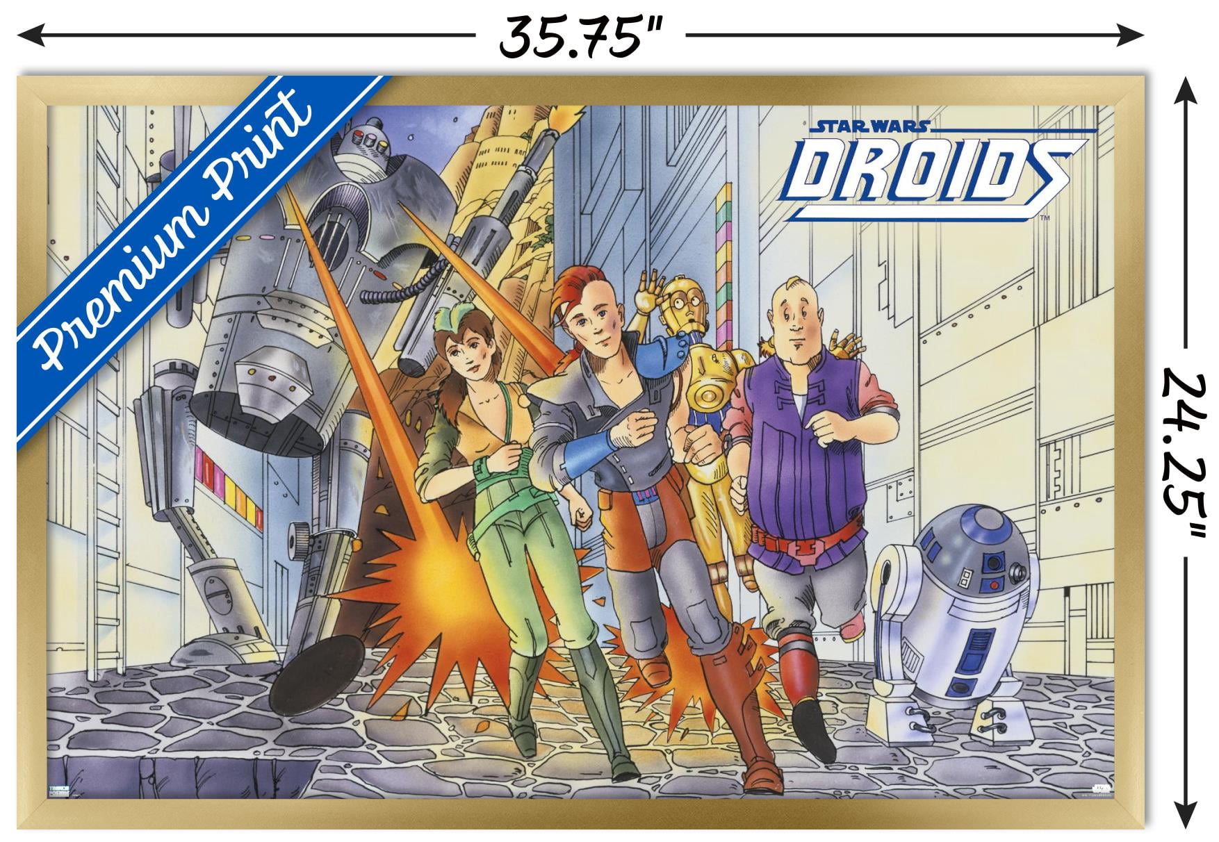Star Wars: Droids - Action Wall Poster, 22.375" x 34", Framed