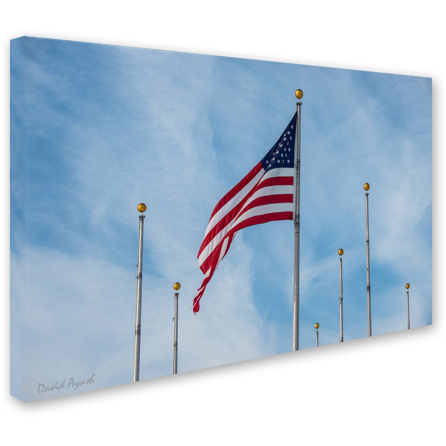 Trademark Fine Art "Red, White and Blue" Canvas Art by David Ayash