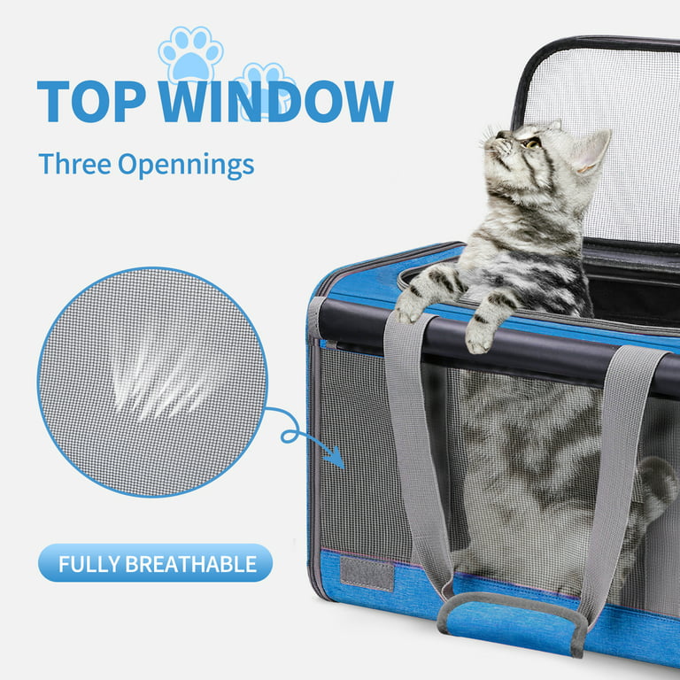 Cshidworld Cat Carrier Airline Approved, Pet Carriers for Cats with Water  Bowl/Front Pocket/Adjustable Shoulder Strap, Collapsible Pet Carrier for  Small Medium Cat Dogs up to 20lbs, Blue 