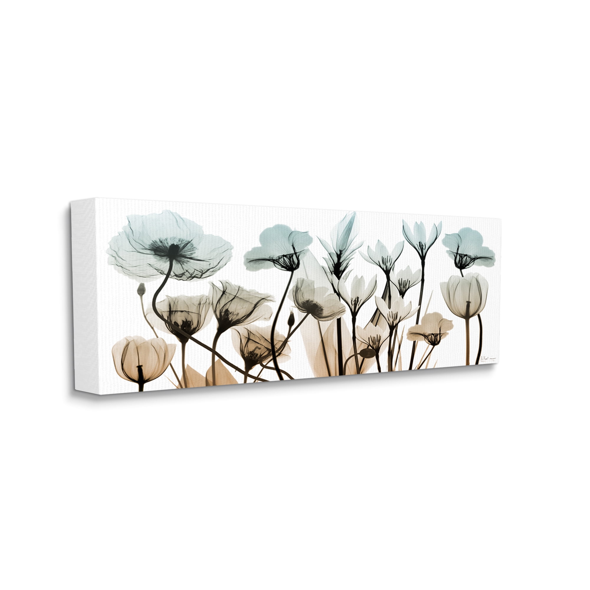 Stupell Industries Mixed X-Ray Flowers Botanical & Floral Photography Gallery Wrapped Canvas Print Wall Art, 24 x 10