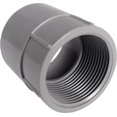 thumbnail image 1 of Adaptador hembra Cantex PVC 2,5 cm D para PVC, paquete de 1, 1 of 1