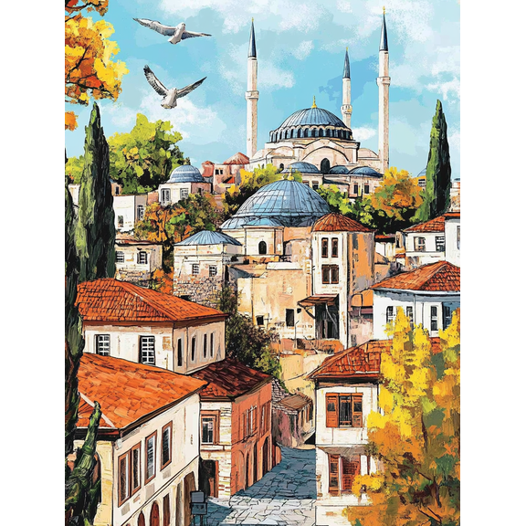 Istanbul Mosque and Cityscape Canvas Art Print,Suitable for Living Room,Bedroom,Dining Room,Office,Hotel Decoration