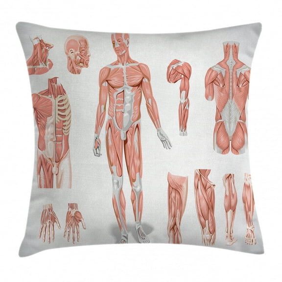Human Anatomy Throw Pillow Cushion Cover, Inner Muscle System Skin Structure with Cells Biology Health Medical Display, Decorative Square Accent Pillow Case, 18 X 18 Inches, Coral Grey, by Ambesonne
