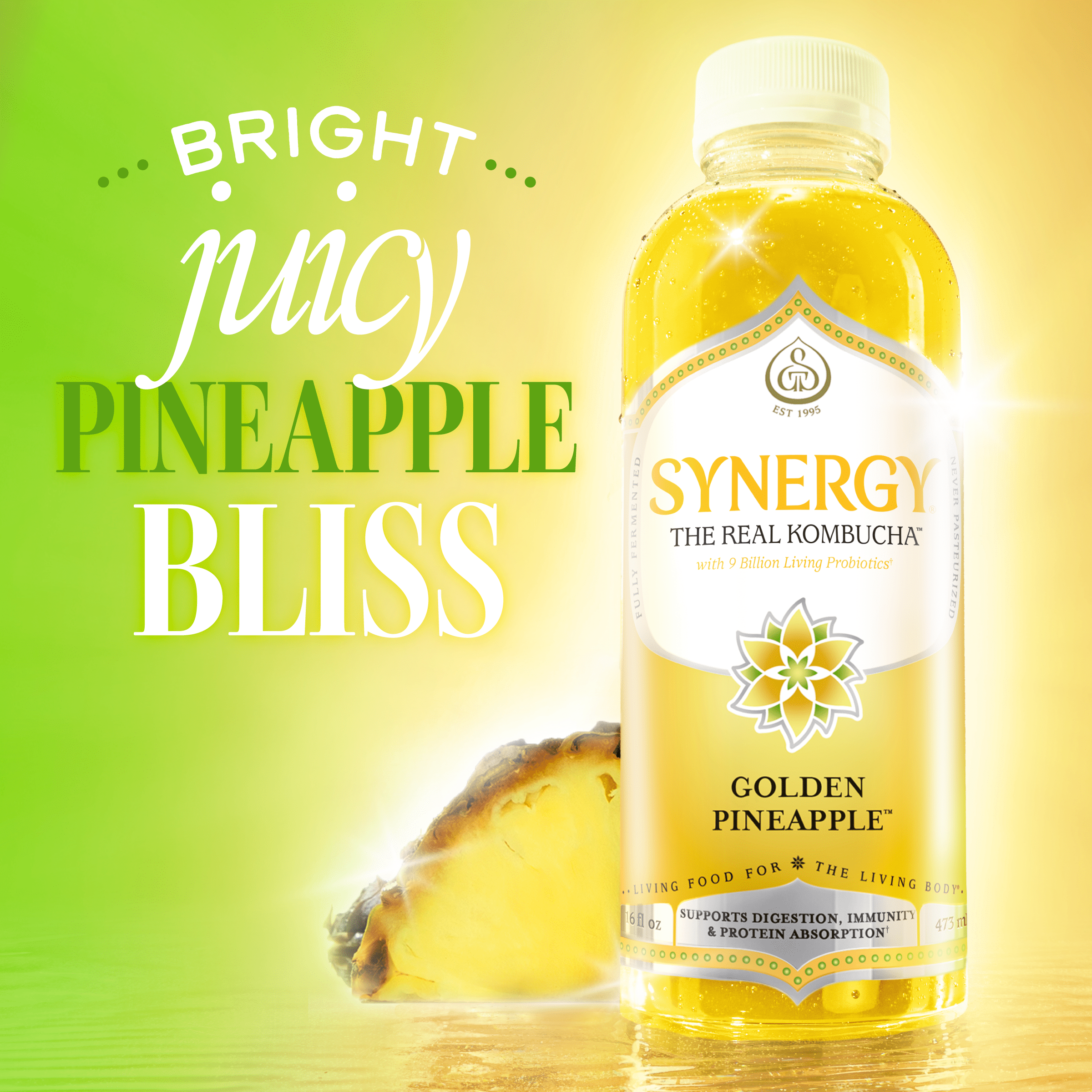 Synergy Golden Pineapple Kombucha 16 fl oz