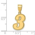 thumbnail image 3 of 14k Yellow Gold Polished Finish Script Design Number 3 Charm Pendant, 3 of 3