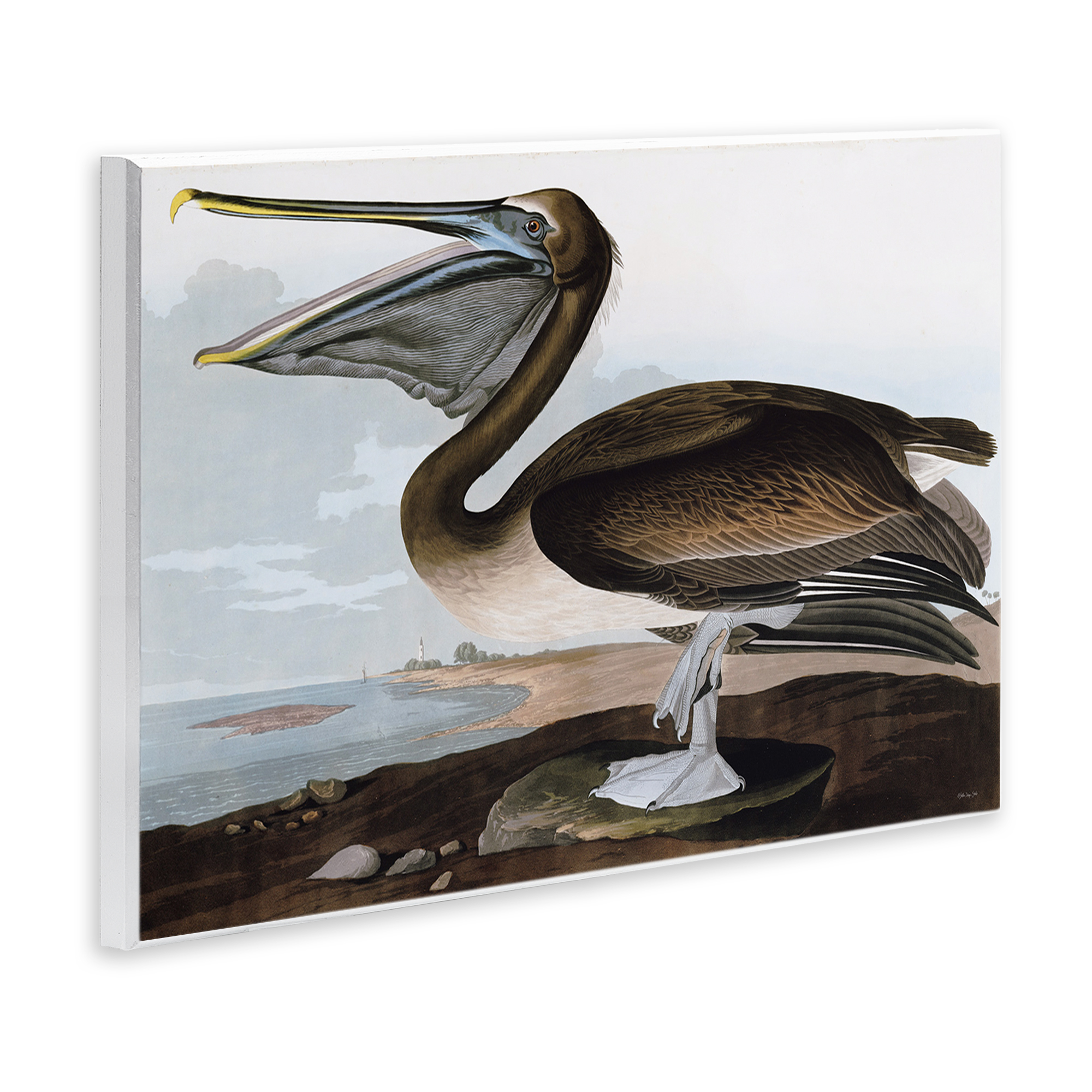 Stupell Industries Classic Pelican at Beach Animals & Insects Painting Unframed Art Print Wall Art, 15 x 10