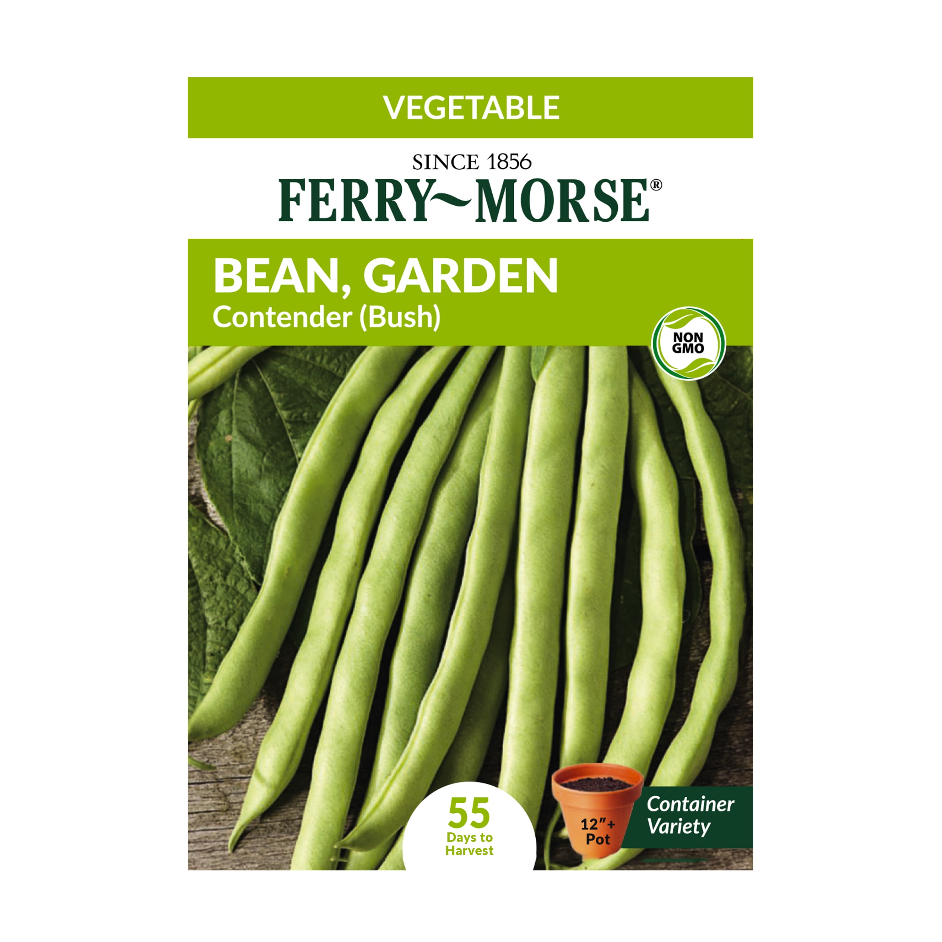 FerryMorse 12G Bean, Garden Contender (Bush) Vegetable Plant Seeds
