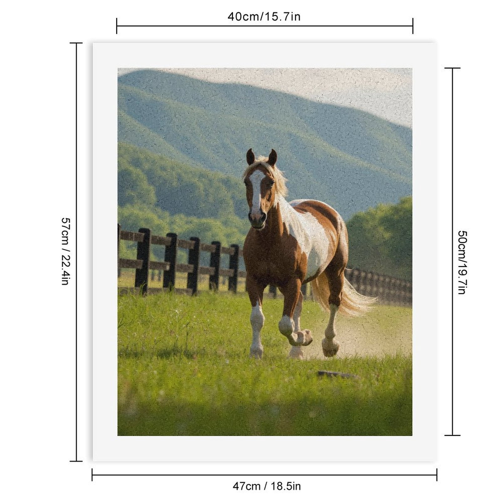 Paint by Numbers Kit for Adults, Horse Galloping Sunlit Meadow Paint by Numbers, Easy Paint by Numbers Kit for Adults Beginner, DIY Adult Paint by Number Kits on Canvas, 12x16in Home Decor