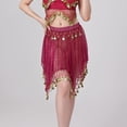 thumbnail image 5 of DYTTDG Mesh Sequin Coin Exotic Belly Dance Skirt with Asymmetric Tassels | Sparkling Performance Skirt for Stage, Dance & Party, 5 of 8