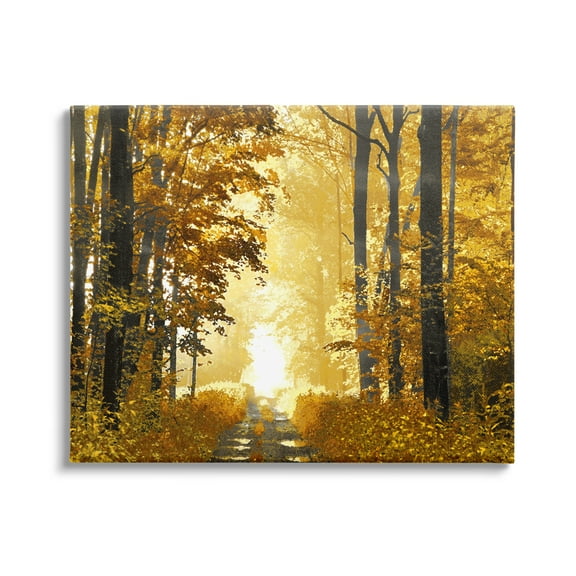 Stupell Industries Autumn Path Landscape Nature Painting Gallery Wrapped Canvas Print Wall Art, 20 x 16