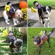 thumbnail image 4 of Cowboy Rider Dog Costume, Funny Dog Halloween costumes, dog clothes for all sizes, 4 of 5