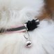 thumbnail image 5 of Collar para Gatos Mr. Pets, Reflectante, Ajustable rosa Unitalla, 5 of 5