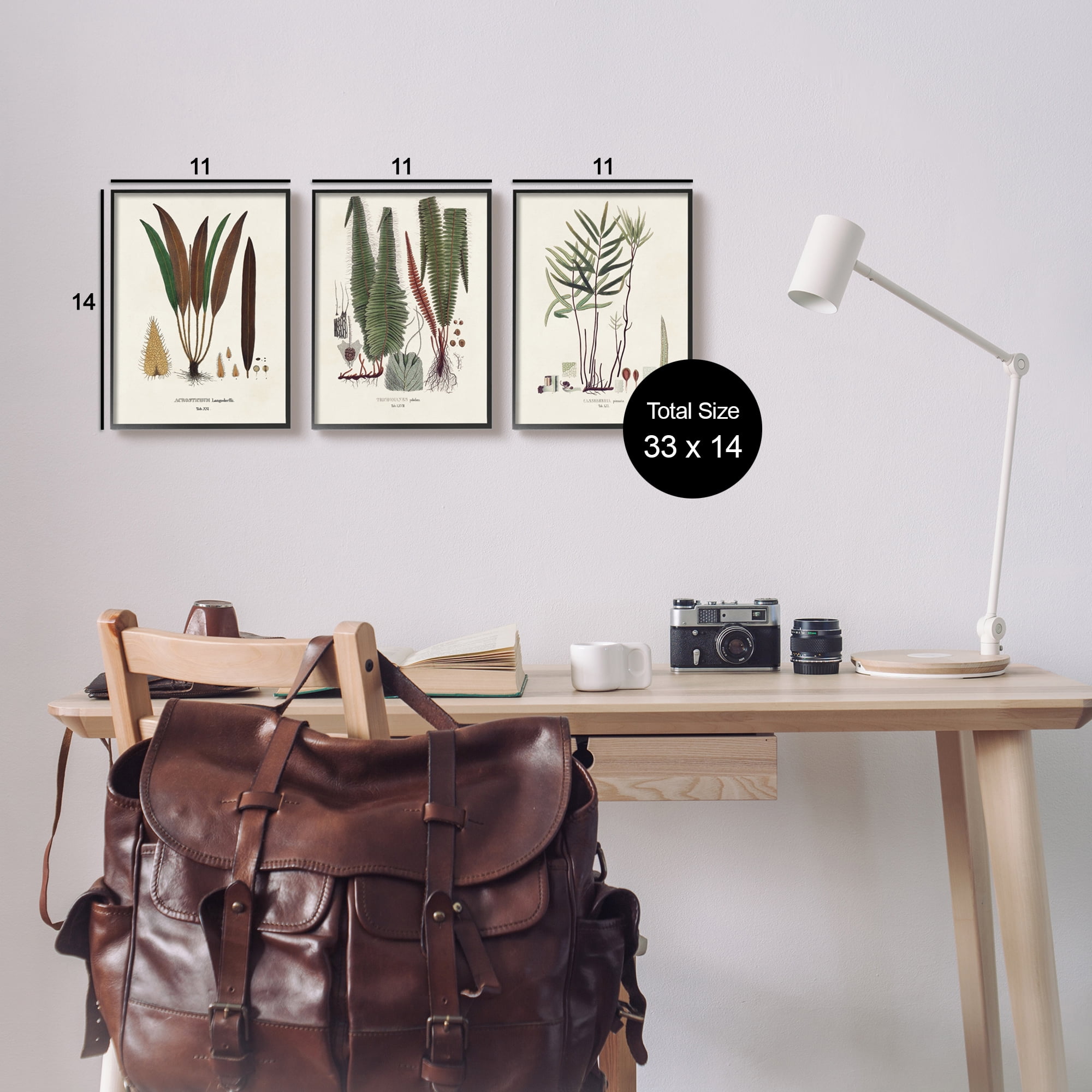 Stupell Industries Vintage Botanical Studies Botanical & Floral Painting Black Framed Art Print Wall Art, 11 x 14