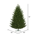 thumbnail image 2 of Vickerman 6.5' x 49" Eagle Fraser Fir Full Artificial Christmas Tree with Warm White LED Lights., 2 of 6