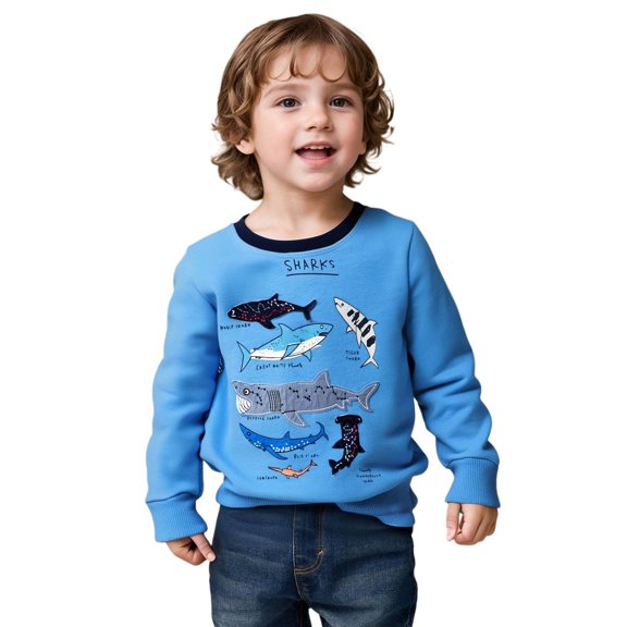 Vividxx Toddler Boys Sweatshirts Cute Embroidered Long Sleeve Pullover Casual Kids Toddler Crewneck Sweatshirt Comfortable Loose Fit For Fall Winter Streetwear 2-3 Years