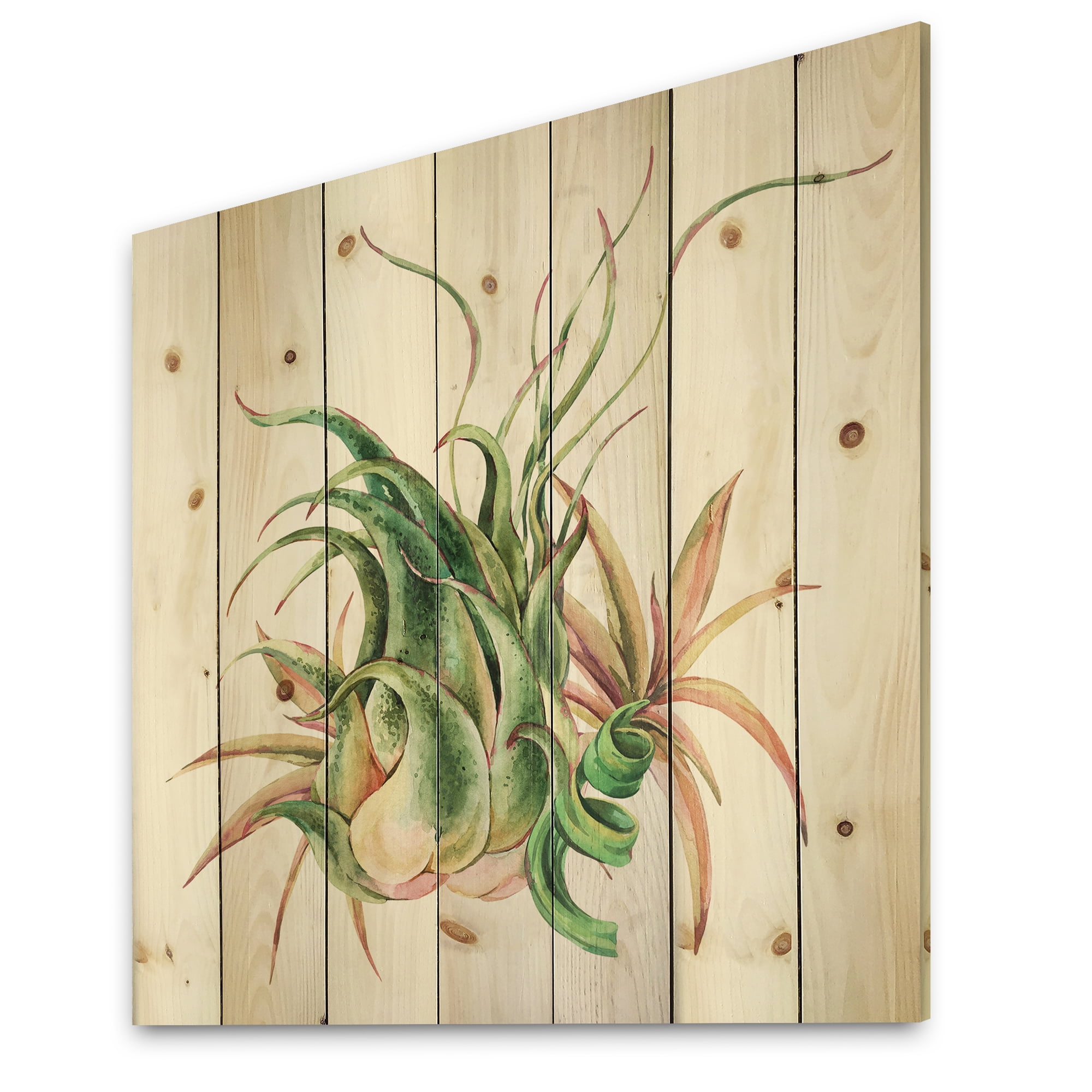 Designart 'Tropical Leaves Air Plant Succulent On White' Farmhouse Print on Natural Pine Wood