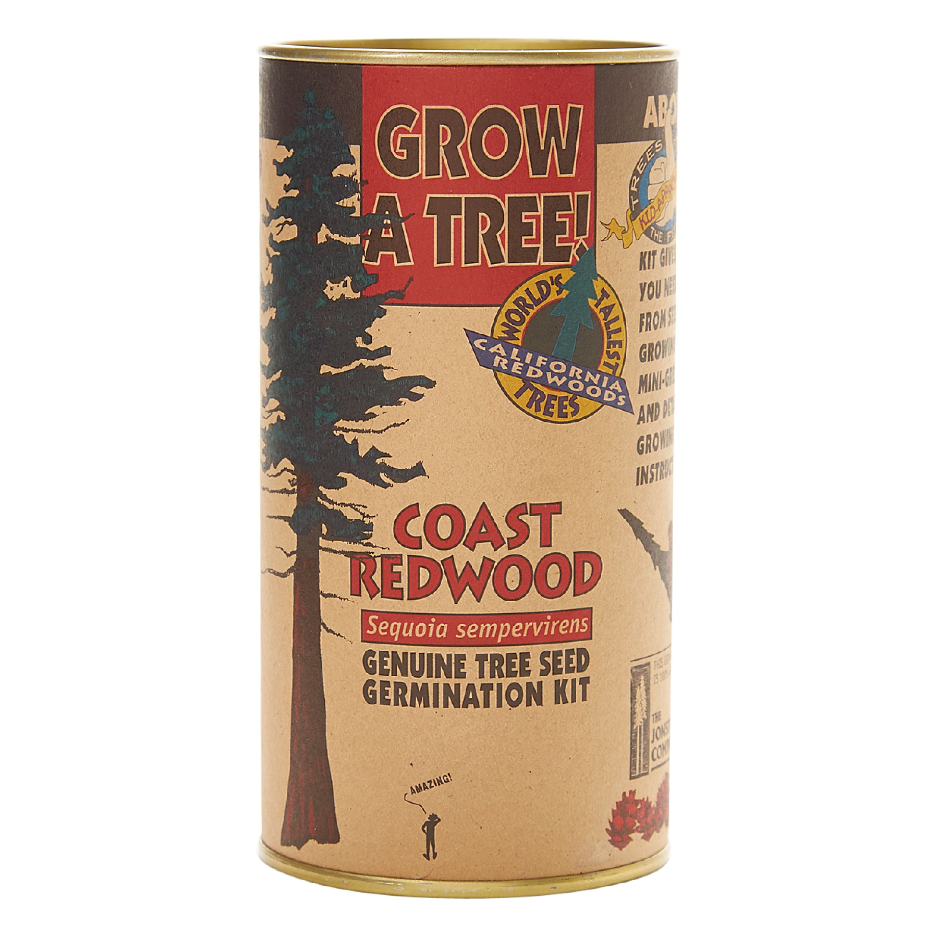 Coast Redwood Tree Seed Grow Kit The Jonsteen Company