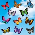 thumbnail image 4 of Large Beautiful Colourful Butterflies Cling Window Stickers Help Bird-st Packaging Boxes for Products Cute Stickers Book Sticker Pack for Adults Sticker It up Softball Stickers for Water Bottle, 4 of 4
